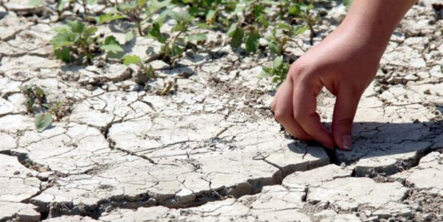 Prof. Dr. Ödemiş: Uzun ve kurak bir yaz bizi bekliyor olabilir