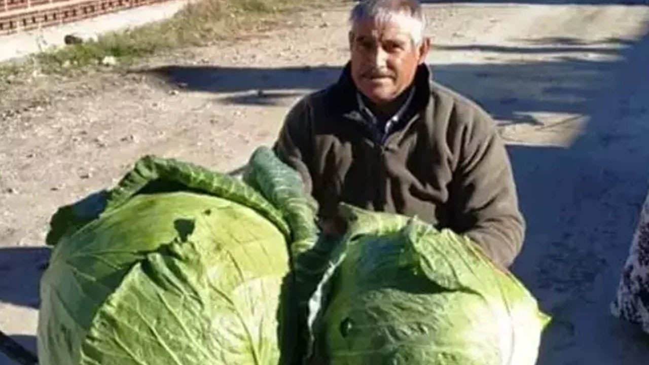 Prof. Dr. Osman Müftüoğlu'dan altın öneri Bakın ne çıktı! 1 aylık lif ihtiyacını tek seferde karşılıyor