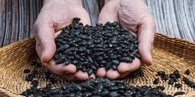 Prof. Dr. Osman Müftüoğlu önerdi: Vücudu magnezyum, kalsiyum, çinko ile dolduruyor!