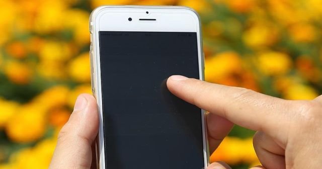 Prof. Dr. Özmen: Cep telefonu bağımlılığı terapi ile tedavi edilmeli