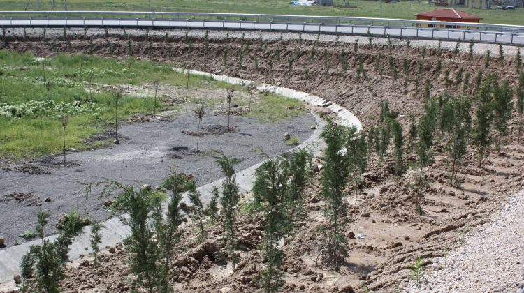  Prof. Dr. Tavman: Burada yetişen ürünler risk taşıyor!