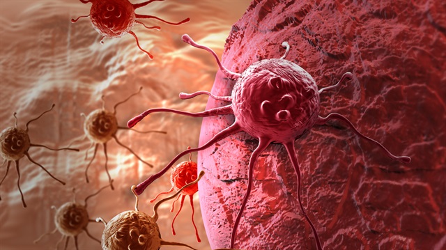 Prof.Dr. Dinleyici: 2 kilo bakteriyle yaşıyoruz