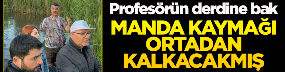 Profesörün derdine bak... Manda kaymağı ortadan kalkacakmış