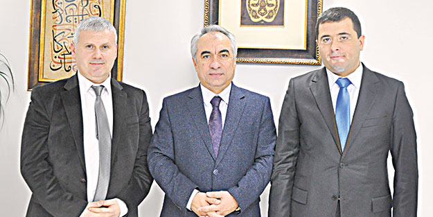 Profesyonel vandallar