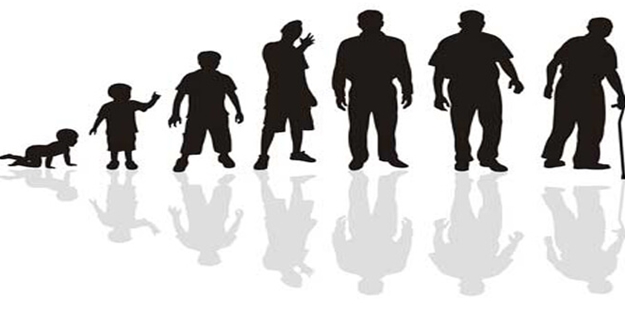 Profesyonel yeteneklerinizi daha çok kullanın