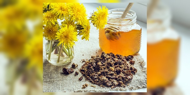 Propolis nedir? | Propolis nasıl kullanılır?