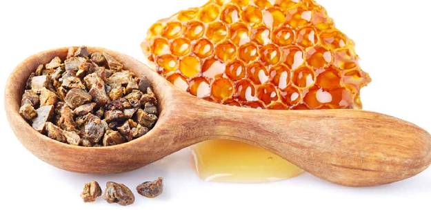 Propolisin Covid-19 enfeksiyonu üzerine etkisi