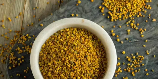 Protein açısından en zengin gıda! Tüketenin bağışıklığı şahlanıyor! 5 faydası, kendinizi mutlu etmenin formülü!