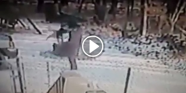 Psikopat kediye bulaştı, bedelini ağır ödedi!