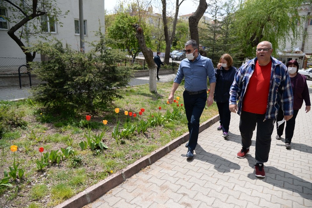 Pursaklar lalelerin göz alıcı güzelliği ile taçlanıyor 