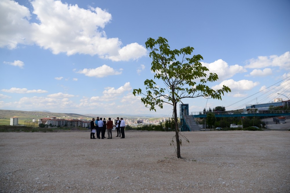 Pursaklar’a Endemik ve Aromatik Bitki Parkı 