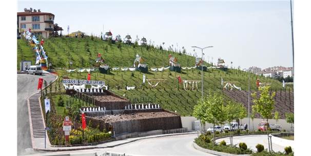 Pursaklar'da Ertuğrul Gazi Parkı rengarenk oldu
