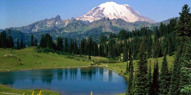 Rabbinizi hiç böyle tanımış mıydınız?