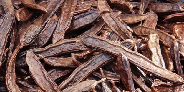 Radyasyona karşı bunu tüketin