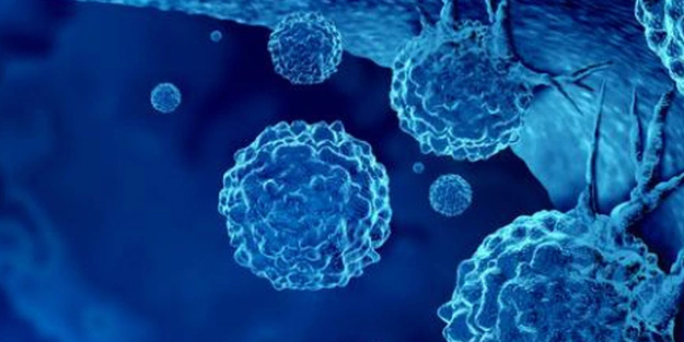 Raff Military Textile! Dünyanın en prestijli, Türkiye'nin güvenlik şirketi Milipol ürünlerini sergileyecek!