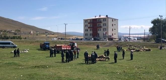 Rağbet küçükbaş hayvana 