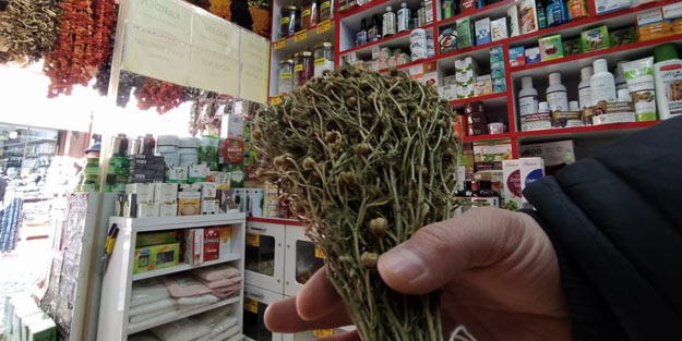 Rahat uyumak için öyle bir şey yaptı ki! Komaya girdi