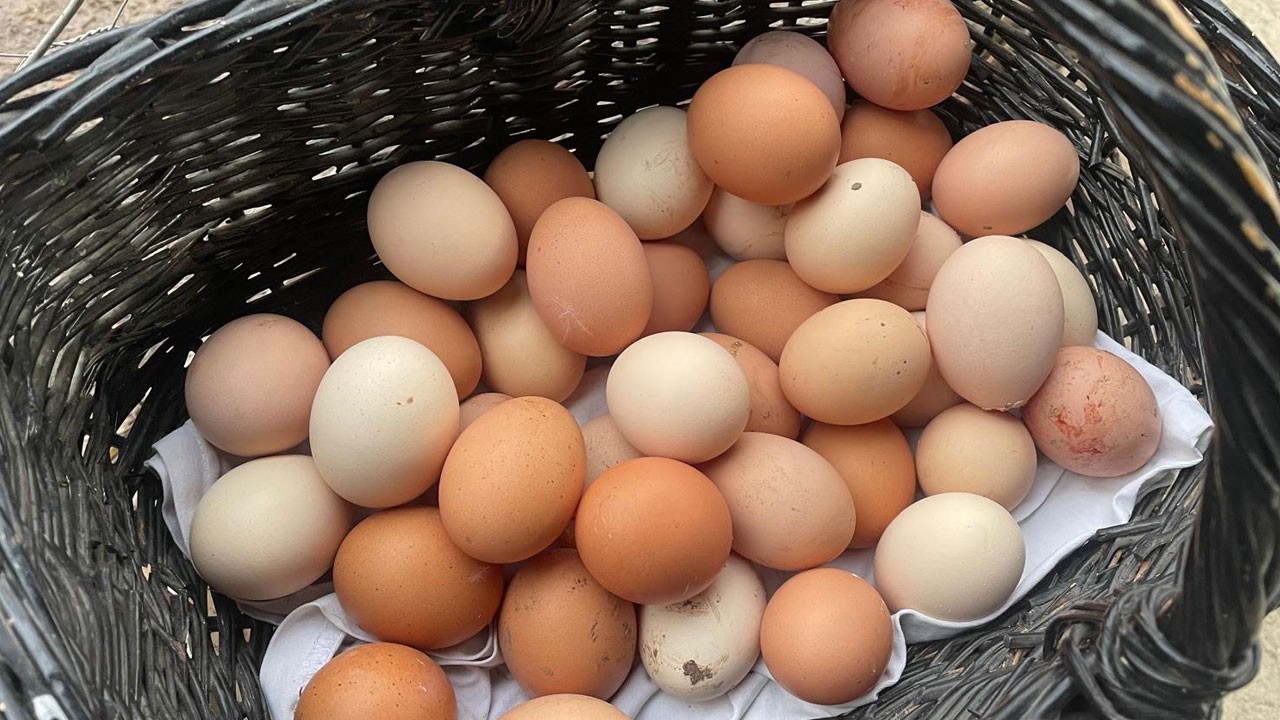 Rakamlar herkesi şaşırtıyor! Yumurta fiyatları uçtu