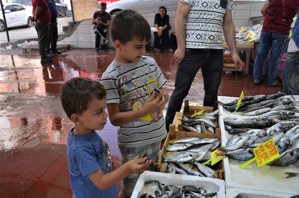 Ramazan ayında balıkçı esnafı satışlarından memnun 