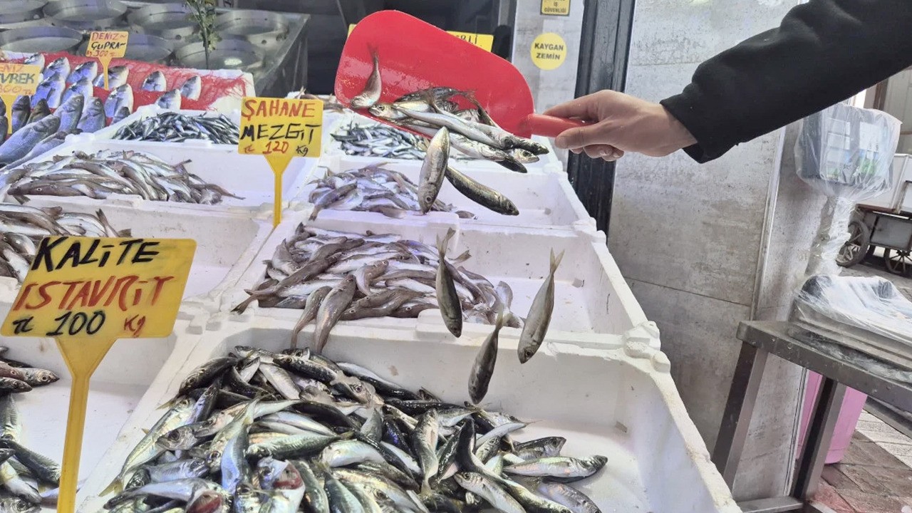 Samsun'da balık tezgahlarında, Ramazan ayında sakinlik!