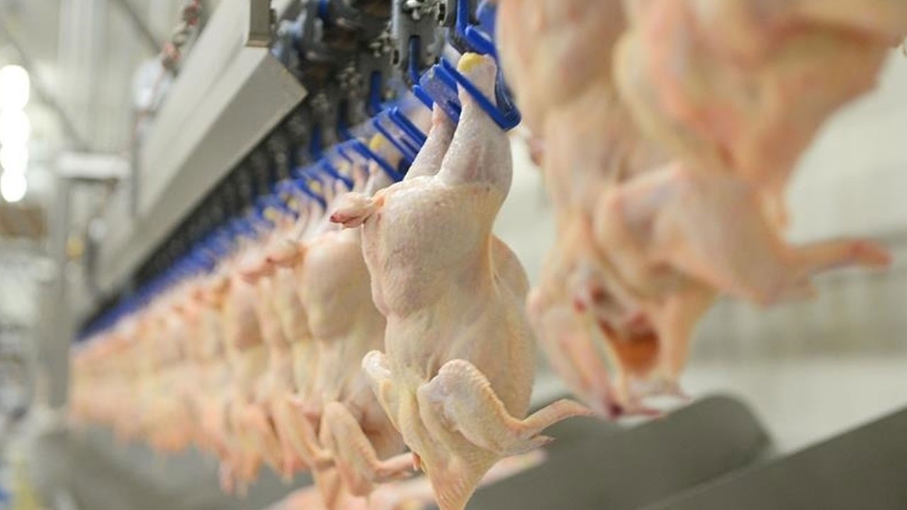 Ramazan öncesi fahiş zamma flaş hamle! Tavuk eti ihracatı durduruldu