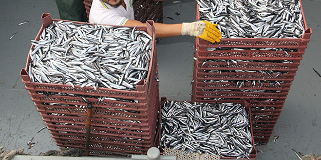 Ramazan’da balık satışları düştü! İşte esnafın yaşadığı zorluklar