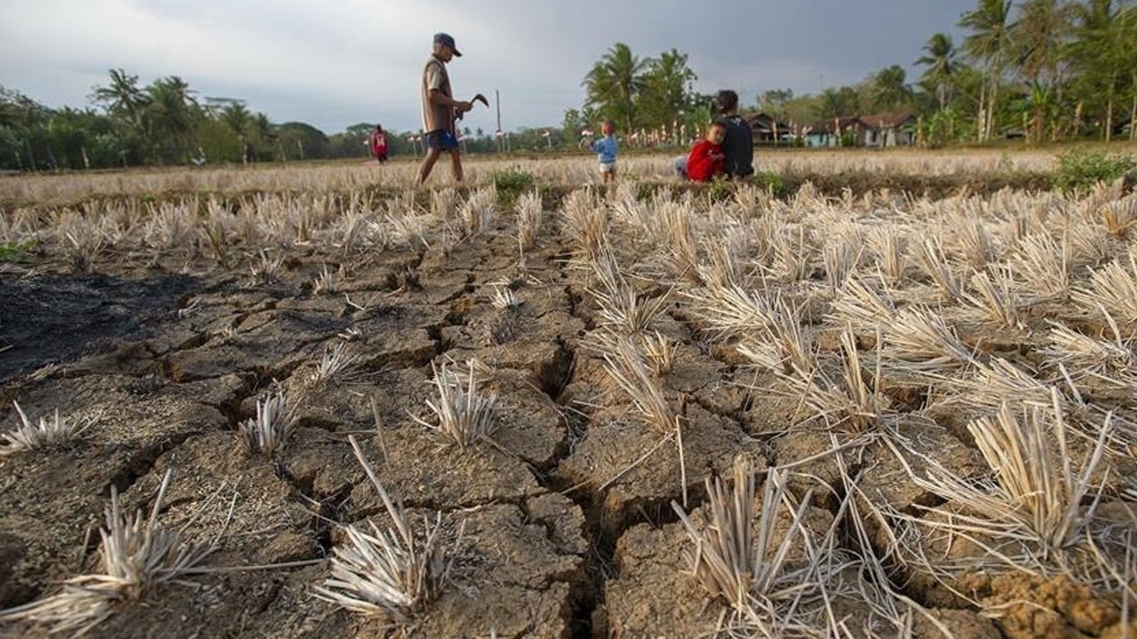 Raporda yer alan 1,5 derece detayı! Gelecek adına korkutan senaryo