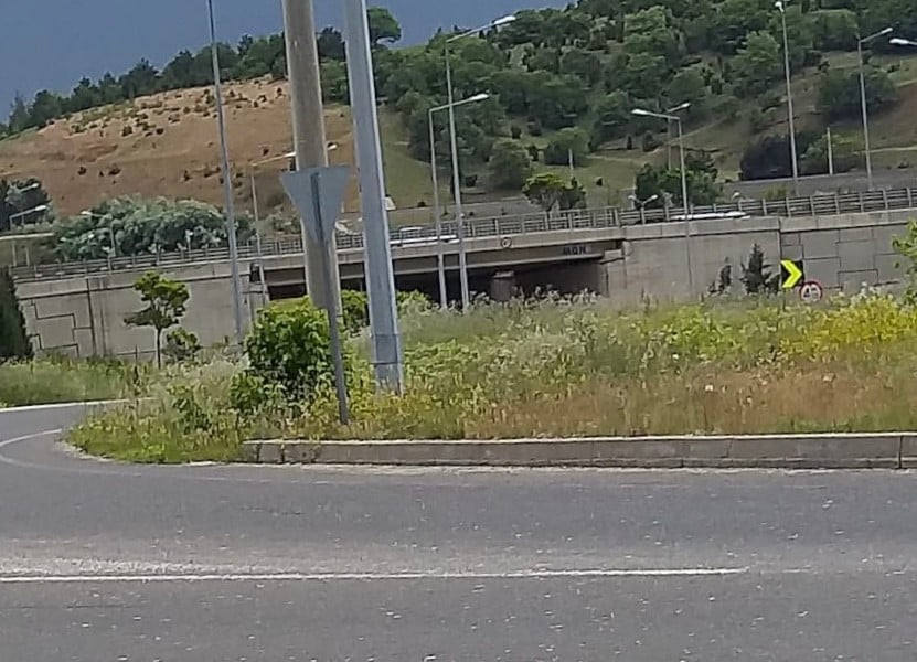 Refüjlerde yükselen otlar sürücülerin görüş açısını daraltıyor 