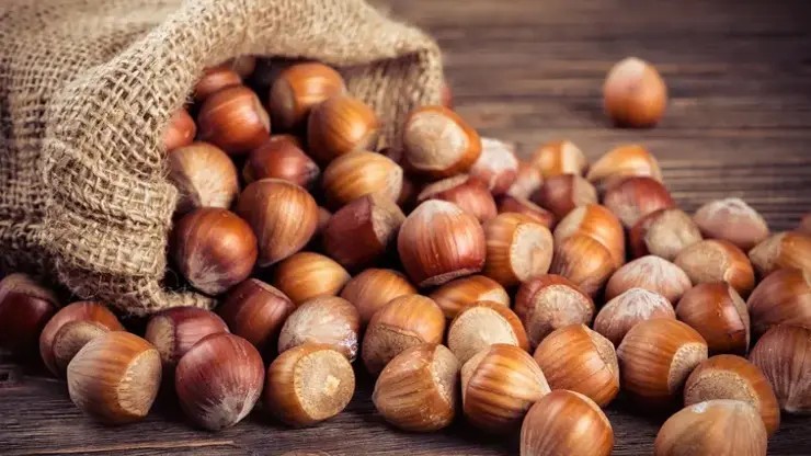 Rekabet Kurumu fındık piyasasında sıkı denetimde! Karadeniz ekonomisi için kritik uyarı