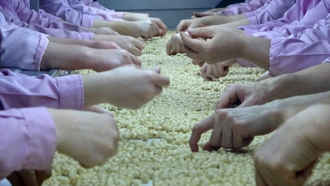 Rekor kimsenin beklemediği an geldi! Fındık ihracatında geçen yılın rakamı 9 ayda görüldü