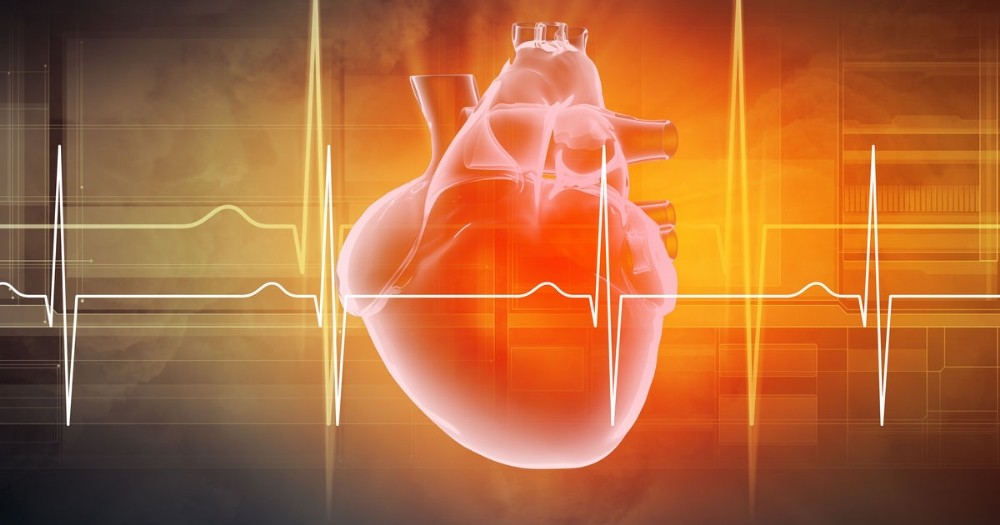 Rektör Alma’nın projesiyle sanal kalp tasarlandı 