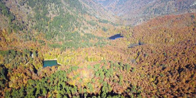 Renk cümbüşü yaşanan Yedigöller'e ziyaretçi akını