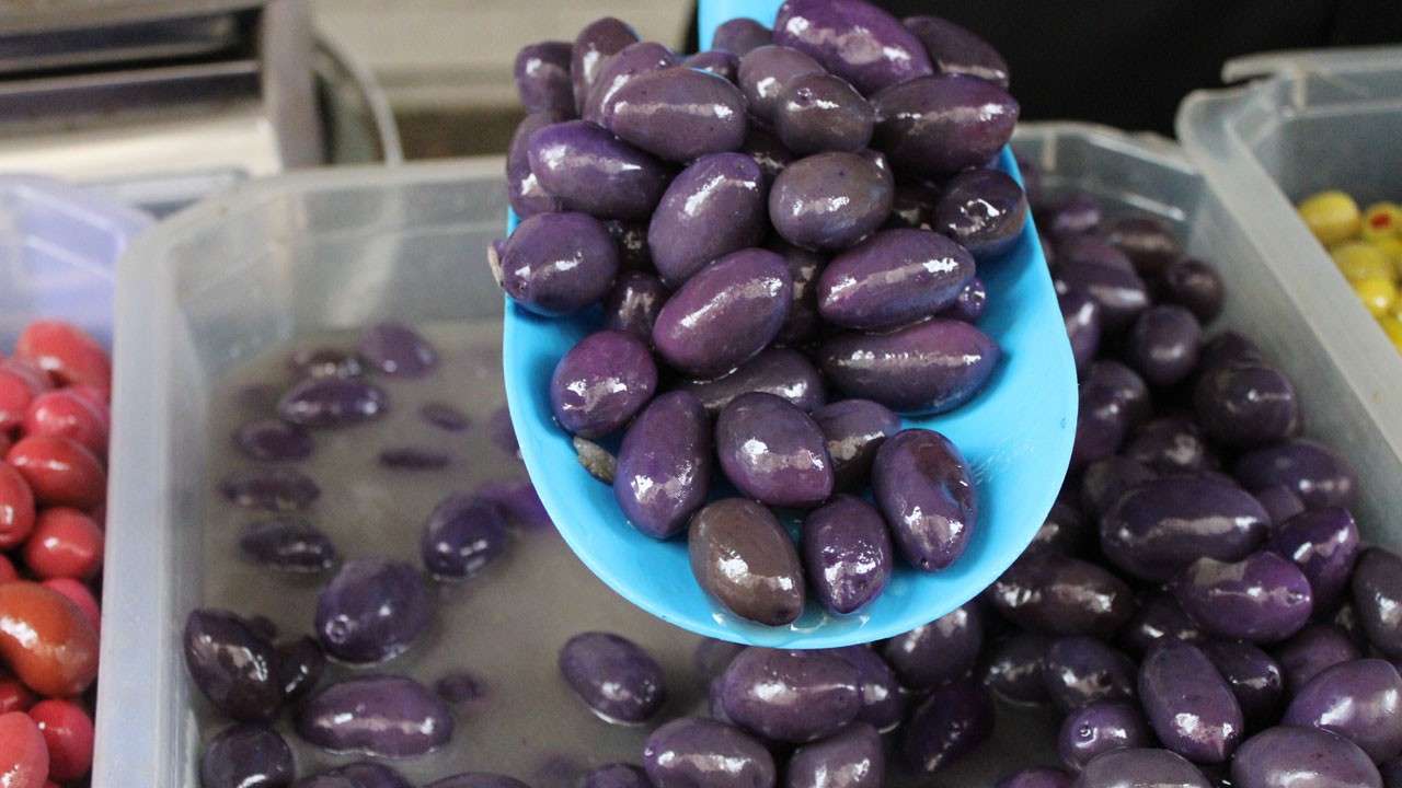 Renkli zeytin şöleni başladı! Kilosu 250 TL