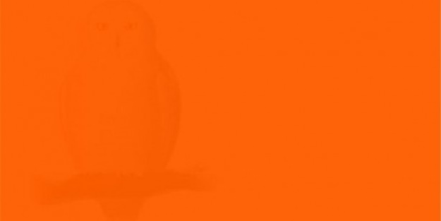 Resimde gizlenmiş nesneyi bulabilecek misiniz?