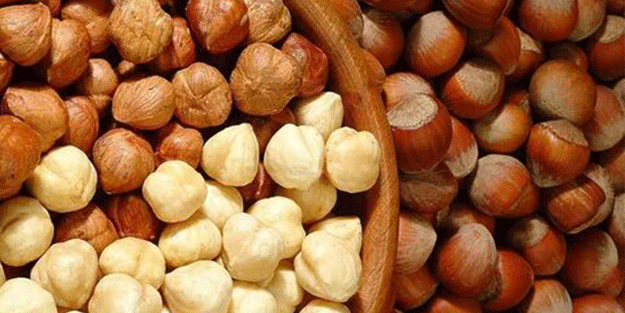 Resmen açıklandı! Fındık fiyatları ne olacak?