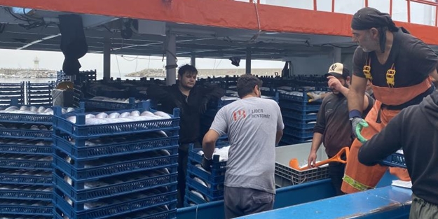 Resmen denizden fışkırdı! 10 bin kasayı buldu