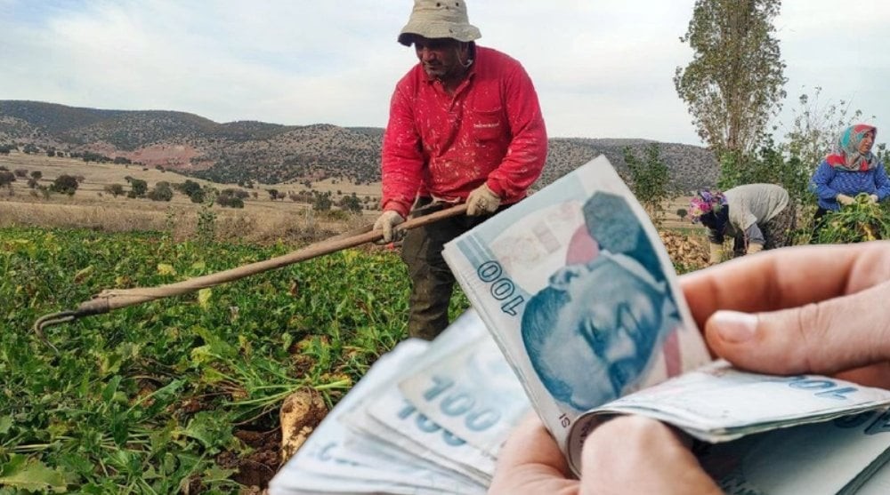 Resmen servet ekip servet biçiyor! O ürün, ağızları açık bırakıyor! Tonundan bakın ne kazanıyor