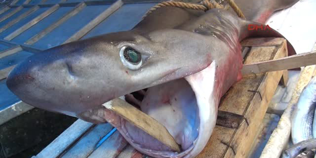 Resmi Gazete'de yayımlandı! Bir dönem sona erdi...