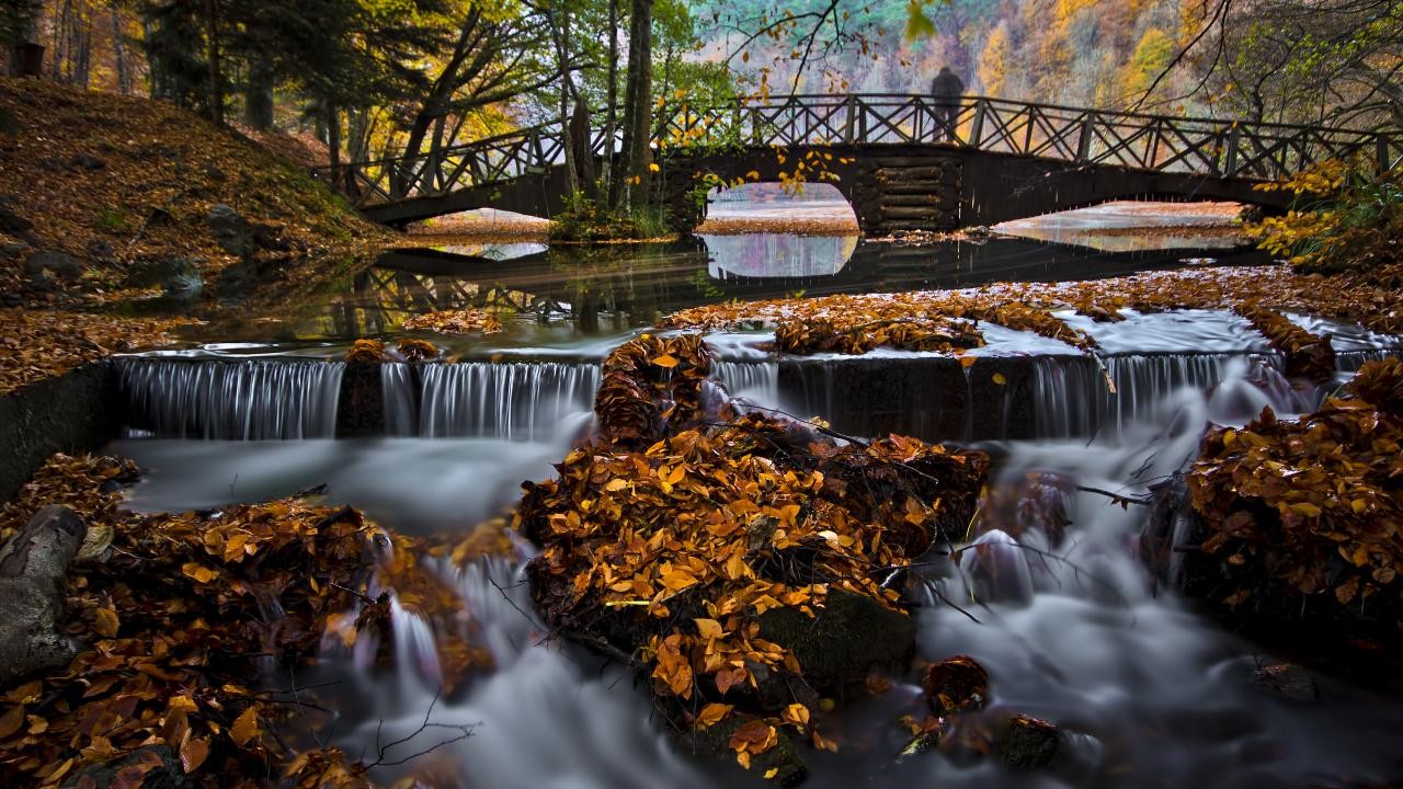 Resmi Gazete'de yayımlandı! Milli parklara yeni düzenlemeler geldi