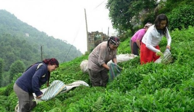 Resmi mesaj geldi! Paralar hesaplara yatırıldı