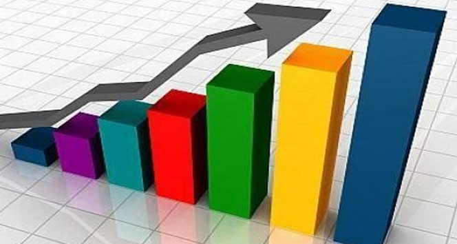 Resmi rezerv varlıklarında artış