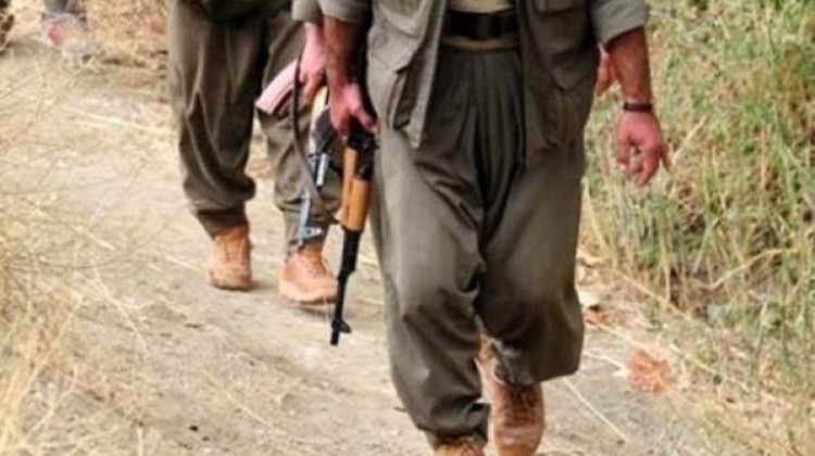 Resmi siteden açıkladılar: PKK'yı destekliyoruz