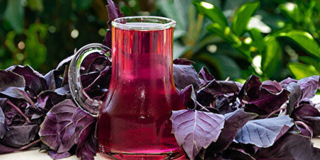 Reyhan şerbeti nasıl yapılır? Neye iyi gelir, faydaları neler? İbrahim Saraçoğlu açıkladı: Onda şifa var!