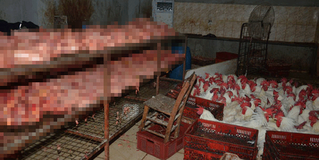 Rezalet! 2 katlı binaya baskın yapan ekipler şok oldu