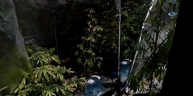 Rezidans dairesinde polisi şoke eden manzara