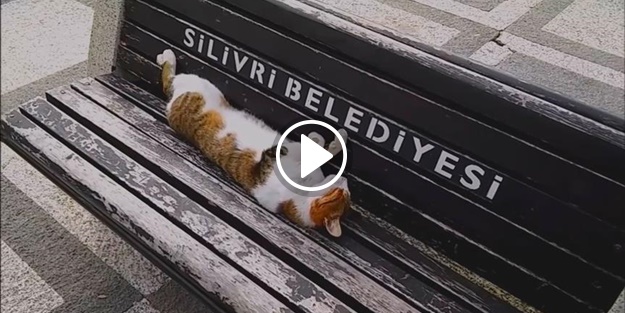 Rıfkı çevredekilerin ilgi odağı oldu