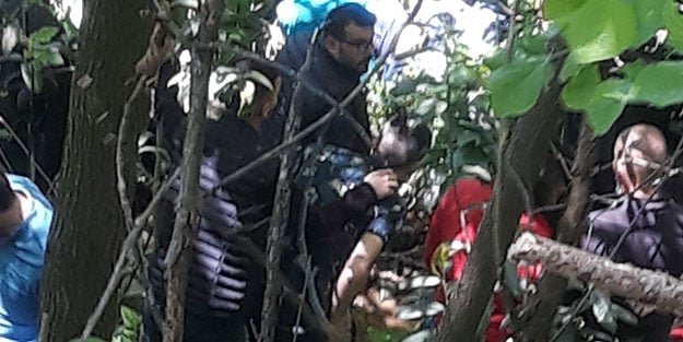 Rize’de 3 akrabasını öldüren zanlının cansız bedeni bulundu