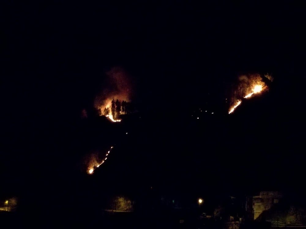 Rize’de 4 ayrı noktada örtü yangını 