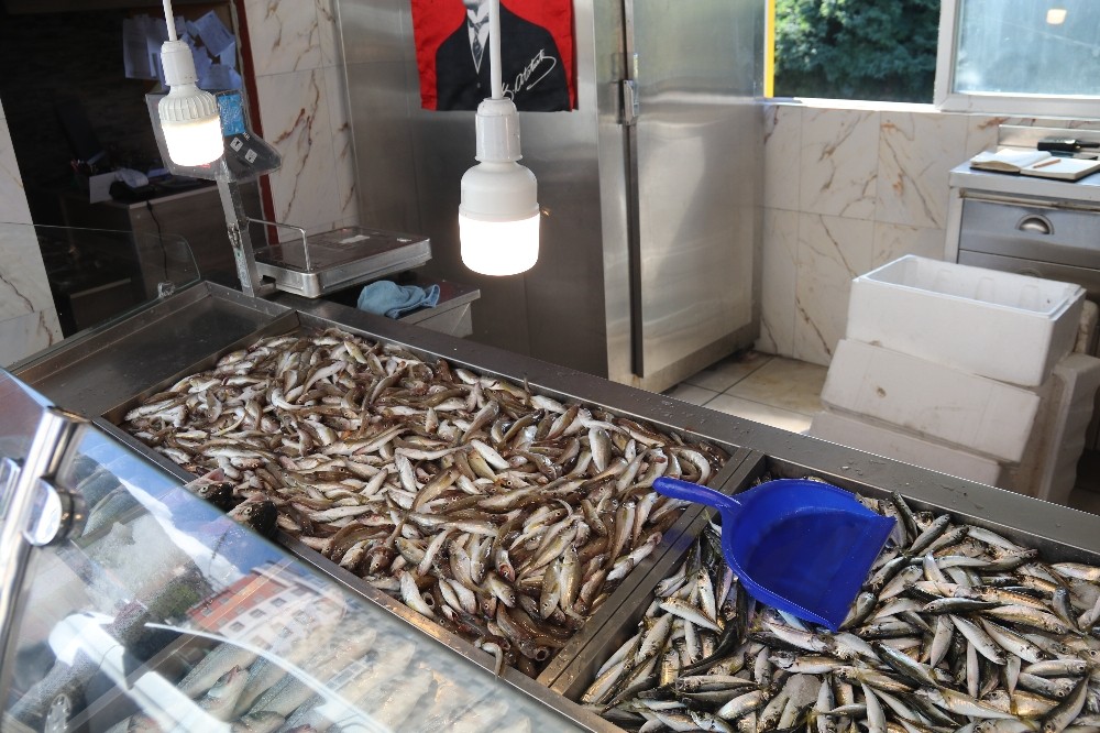 Rize’de balık olmayınca tezgahlar boş kaldı 