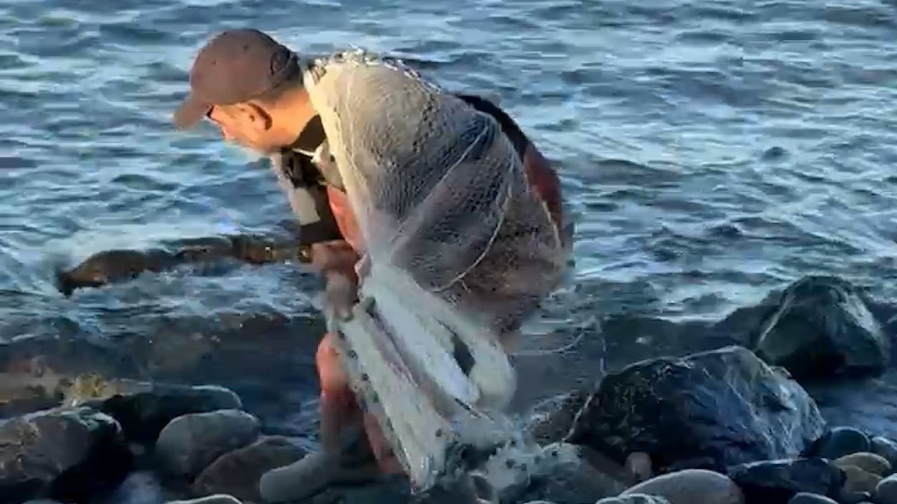 Rize’de balıkçının "Pusu" taktiği